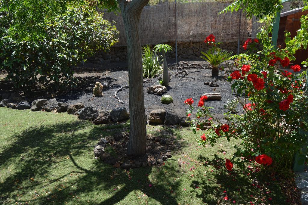 La Alpispa San Francisco de Paula Esterno foto